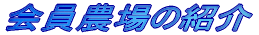ǧ݂o